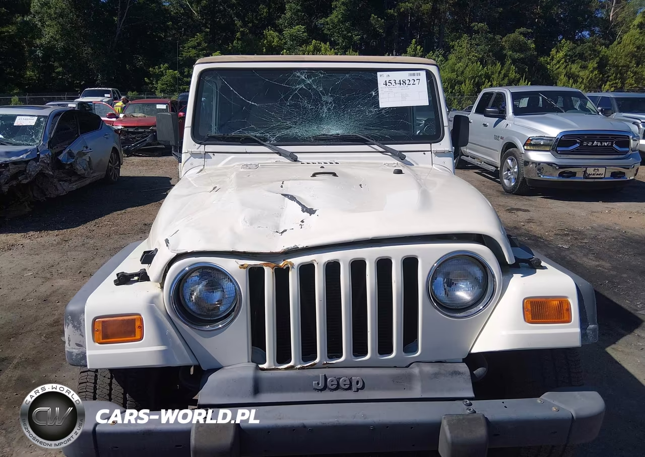 2001 Jeep Wrangler Sport VIN:1J4FA49S51P359334 - 6