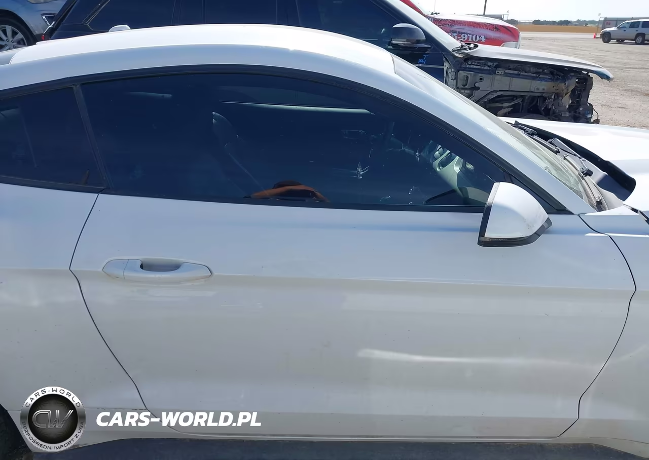 2016 Ford Mustang Ecoboost VIN:1FA6P8TH0G5211613 - 14