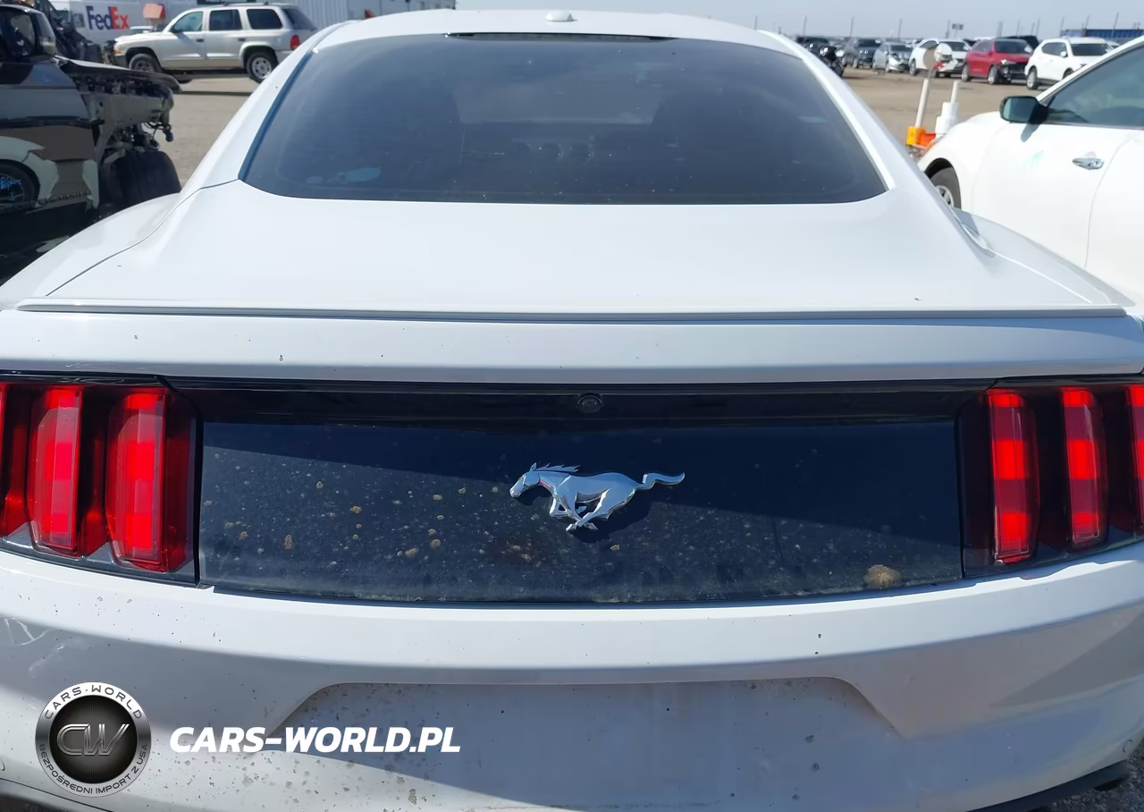 2016 Ford Mustang Ecoboost VIN:1FA6P8TH0G5211613 - 17