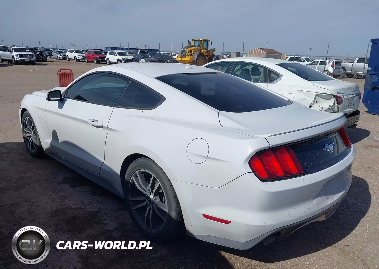 2016 Ford Mustang Ecoboost VIN:1FA6P8TH0G5211613 - 3