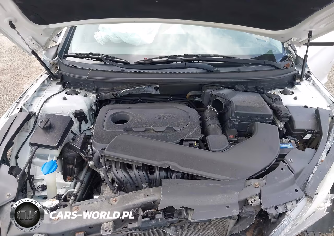 2016 Hyundai Sonata VIN:5NPE24AF1GH434967 - 10
