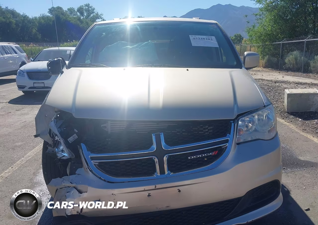 2014 Dodge Grand Caravan Sxt VIN:2C4RDGCG1ER154923 - 12