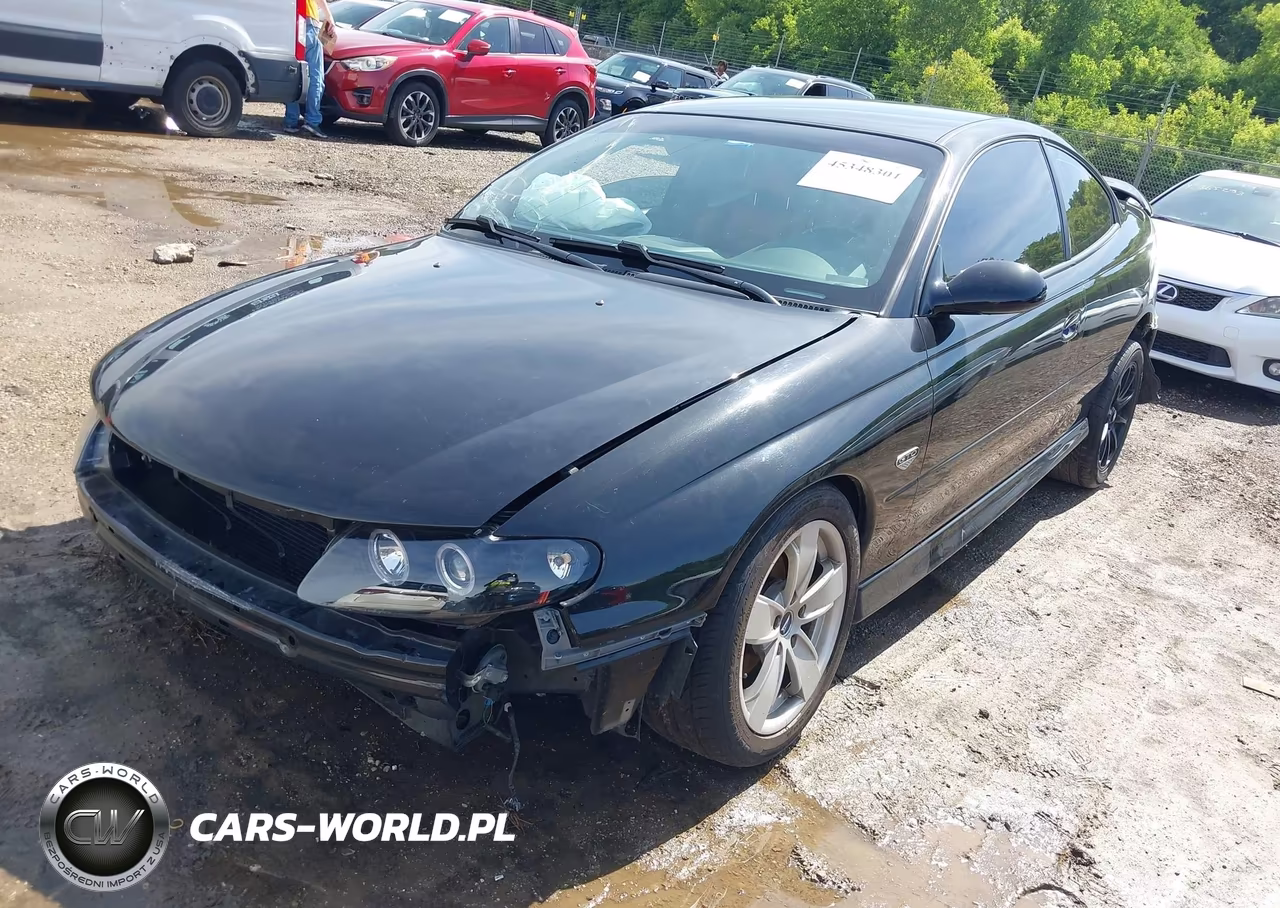 2004 Pontiac Gto VIN:6G2VX12G74L203237 - 2