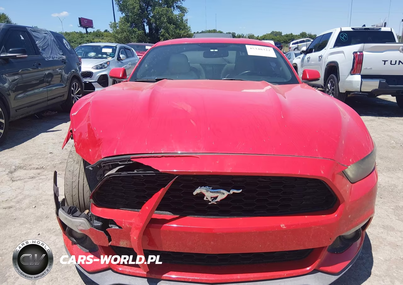 2017 Ford Mustang Ecoboost VIN:1FA6P8TH6H5281909 - 12