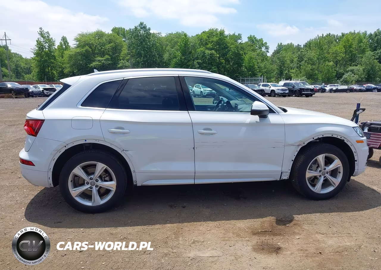 2020 Audi Q5 Premium Plus 45 Tfsi Quattro S Tronic VIN:WA1BNAFY7L2091719 - 13