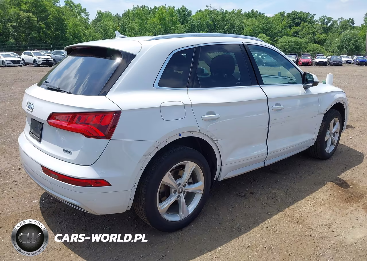 2020 Audi Q5 Premium Plus 45 Tfsi Quattro S Tronic VIN:WA1BNAFY7L2091719 - 17