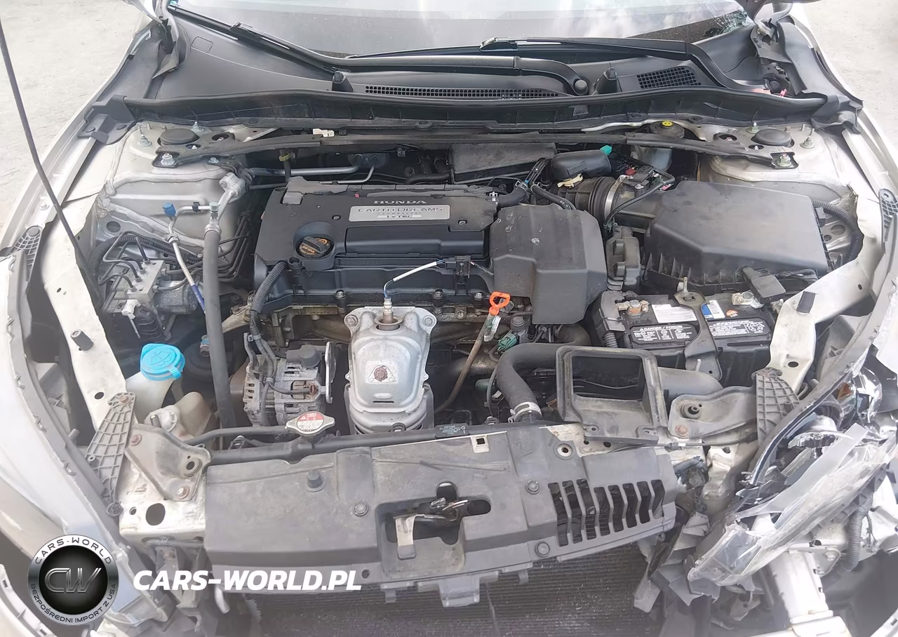 2013 Honda Accord Ex-L VIN:1HGCR2F87DA021926 - 10