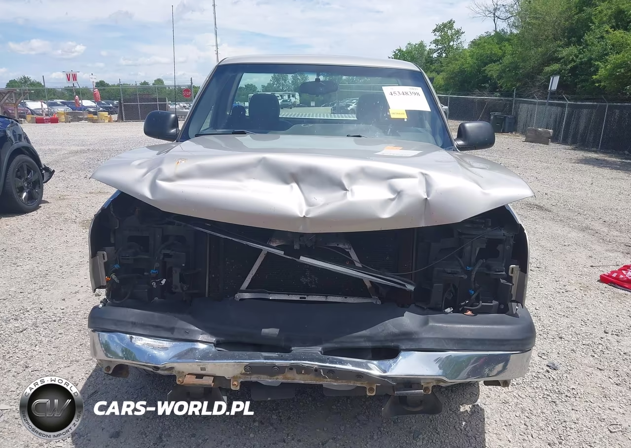 2006 Chevrolet Silverado 1500 Work Truck VIN:3GCEC14XX6G213018 - 13