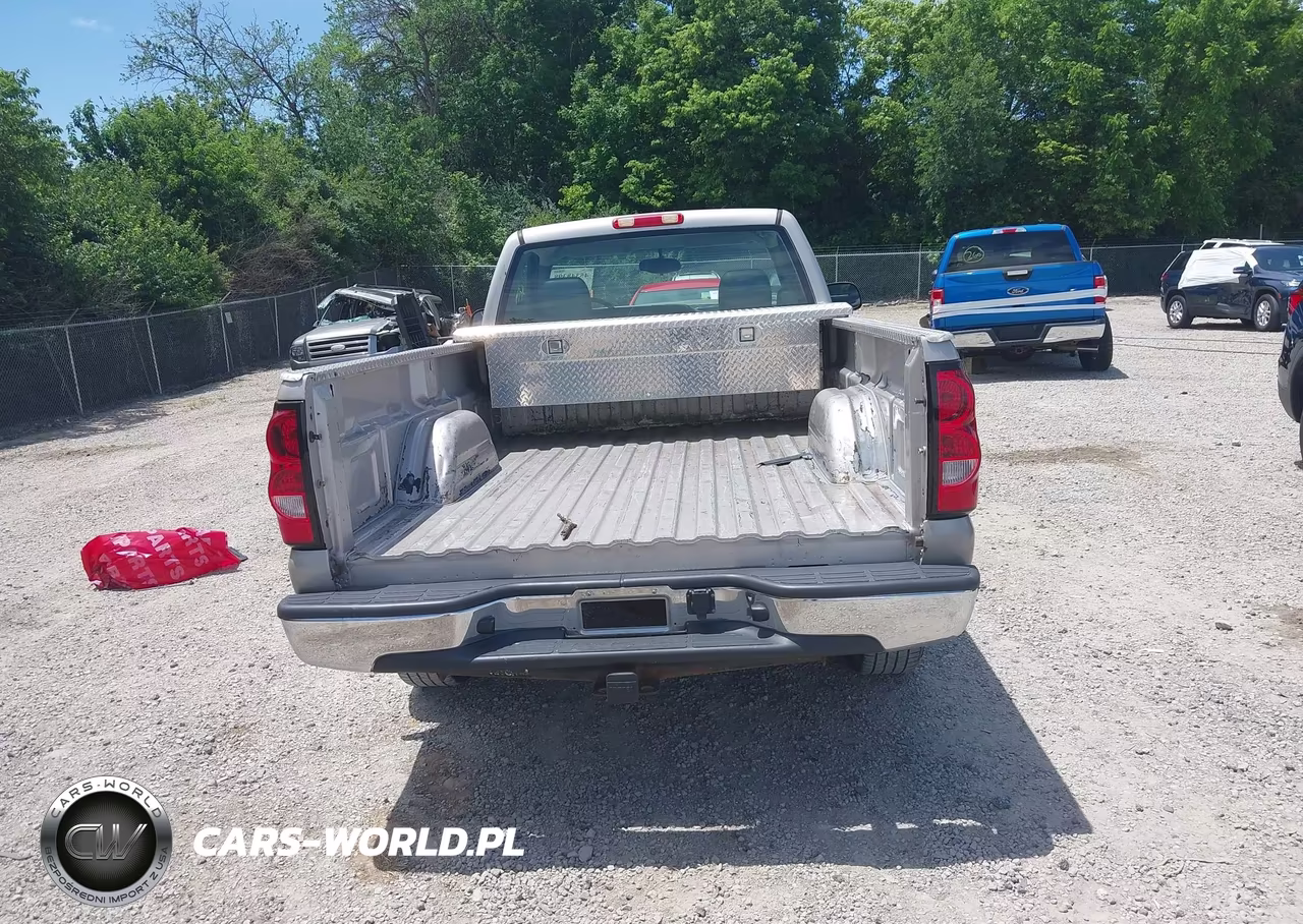 2006 Chevrolet Silverado 1500 Work Truck VIN:3GCEC14XX6G213018 - 17