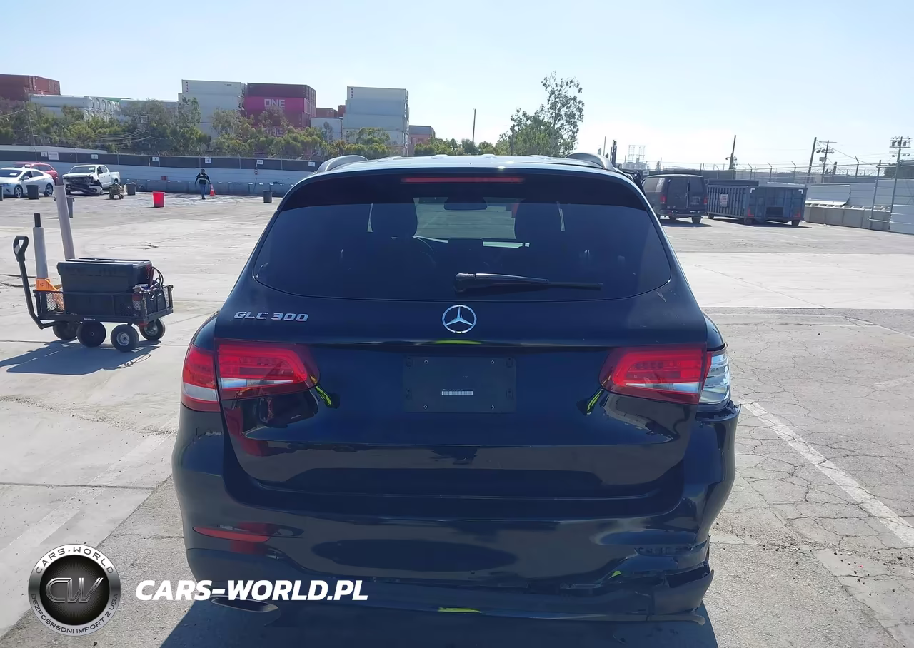 2019 Mercedes-Benz Glc 300 VIN:WDC0G4JB6KV149547 - 16