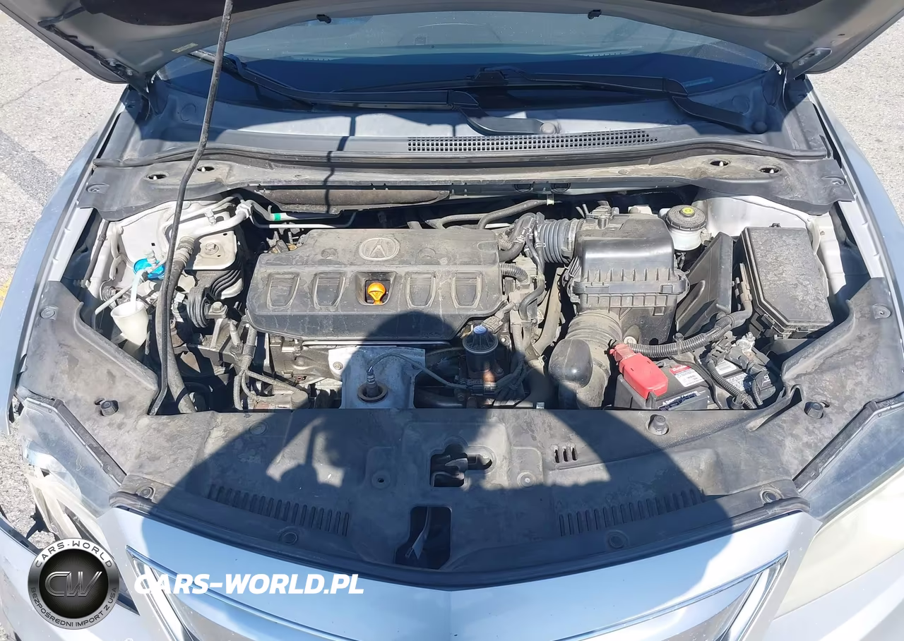2013 Acura Ilx 2.0L VIN:19VDE1F56DE018522 - 10