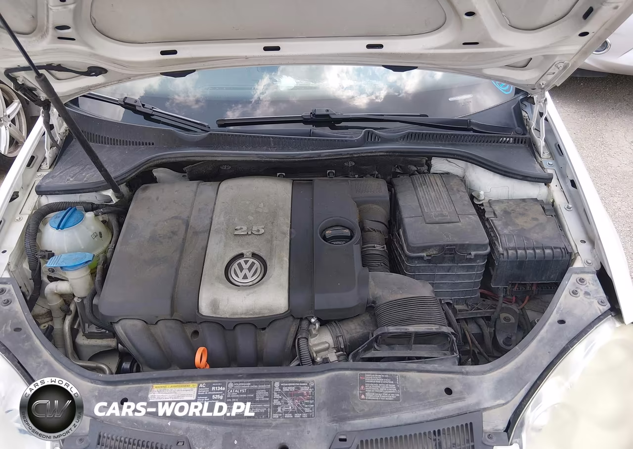 2009 Volkswagen Rabbit S VIN:WVWDA71K39W141484 - 10