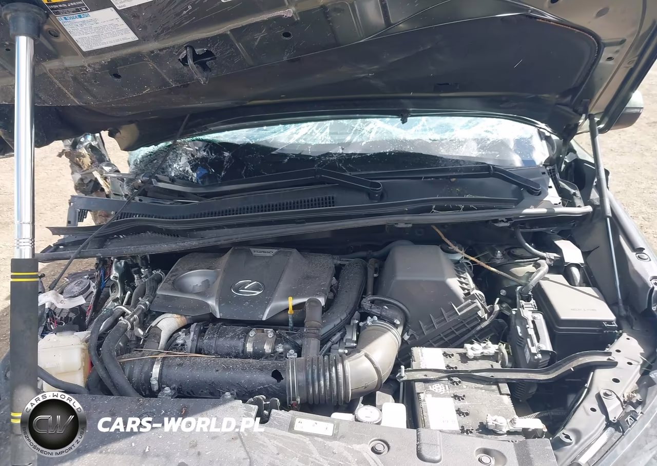 2021 Lexus Nx 300 VIN:JTJDARDZ9M2243888 - 10