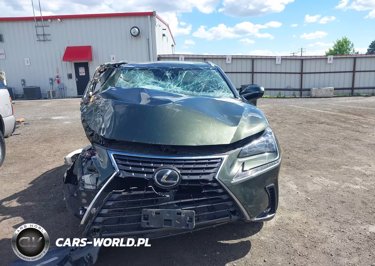 2021 Lexus Nx 300 VIN:JTJDARDZ9M2243888 - 13