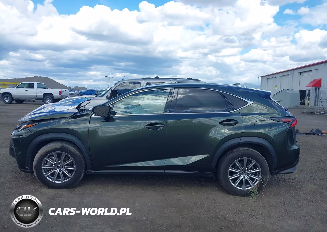 2021 Lexus Nx 300 VIN:JTJDARDZ9M2243888 - 15