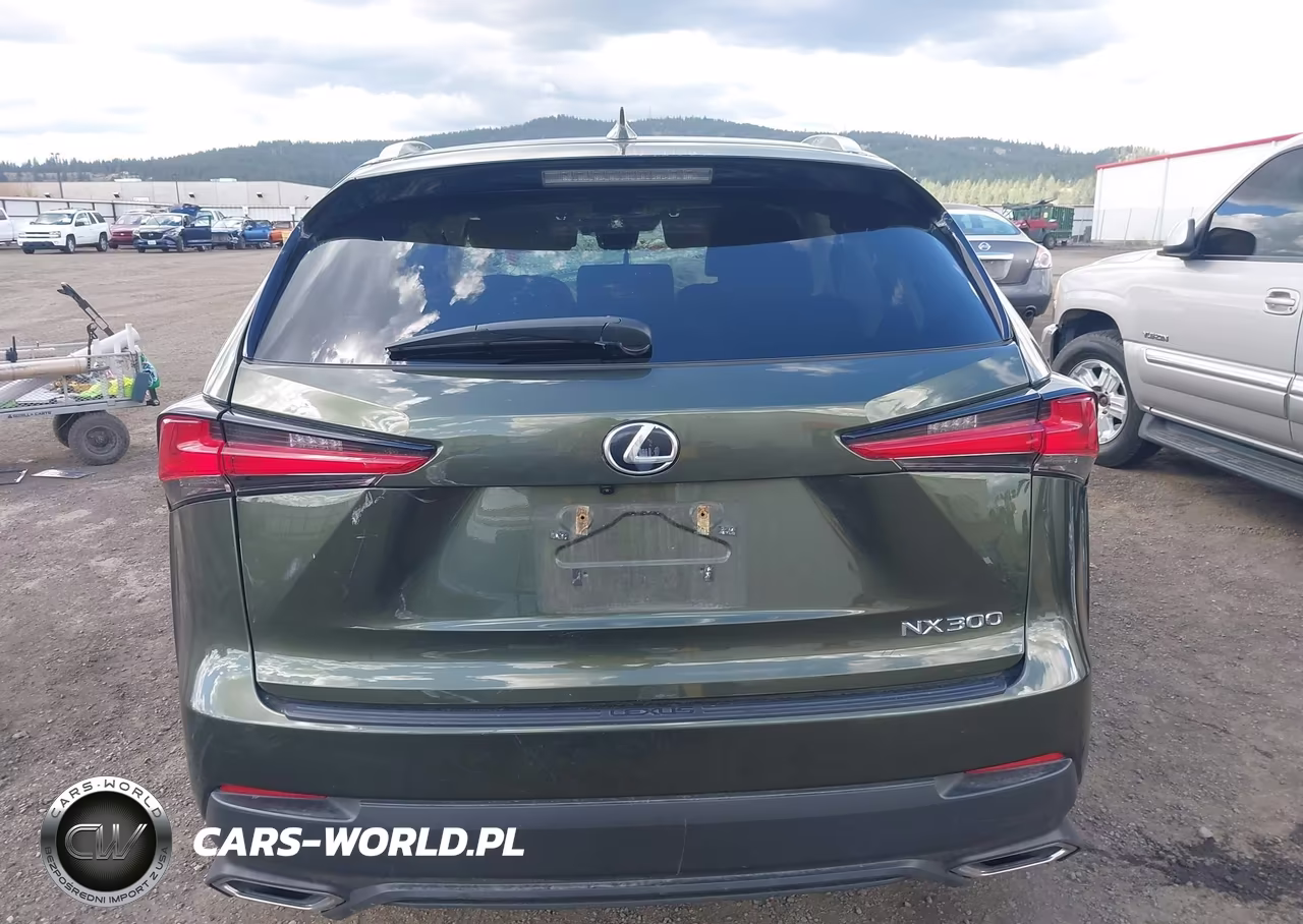 2021 Lexus Nx 300 VIN:JTJDARDZ9M2243888 - 17