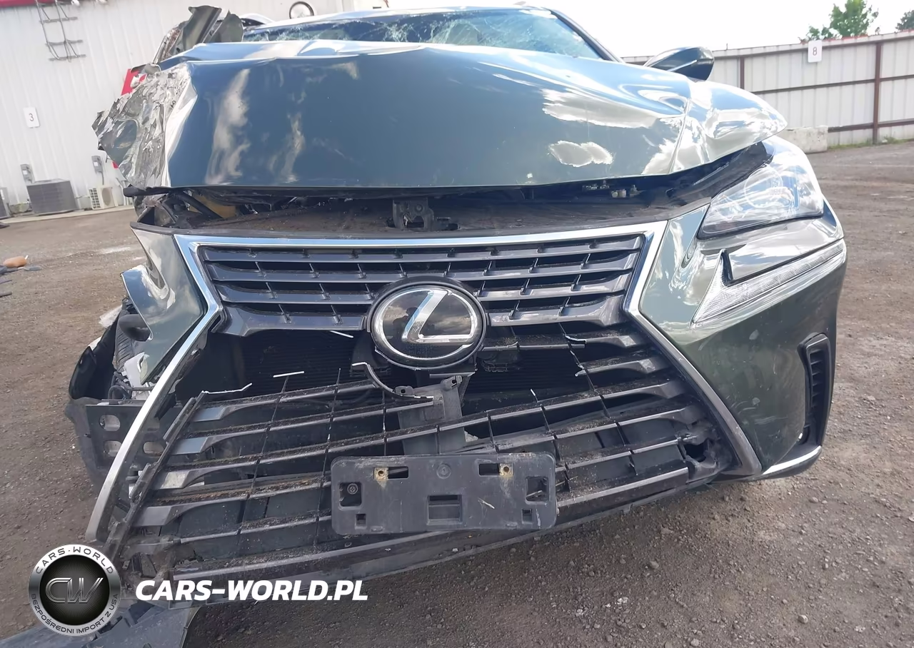 2021 Lexus Nx 300 VIN:JTJDARDZ9M2243888 - 18