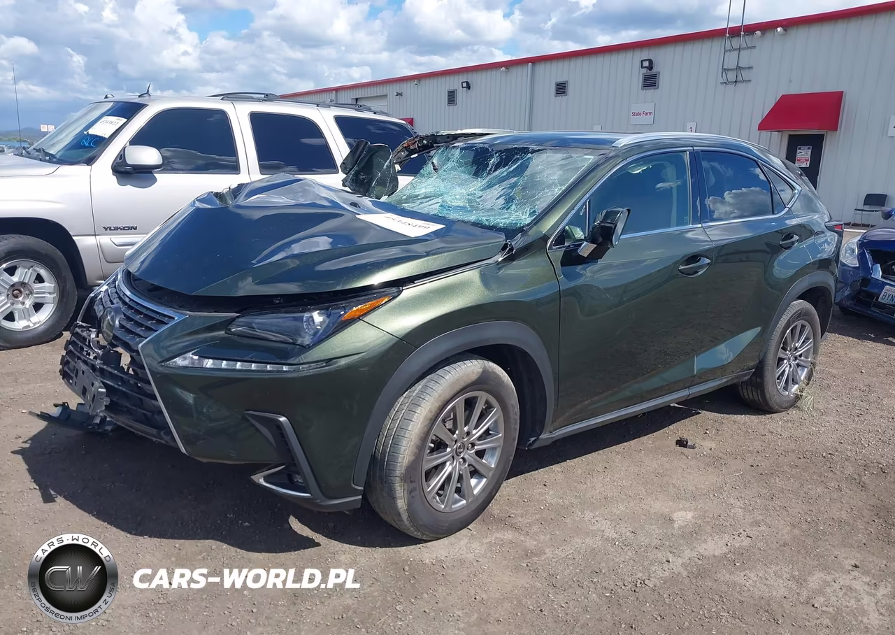 2021 Lexus Nx 300 VIN:JTJDARDZ9M2243888 - 2