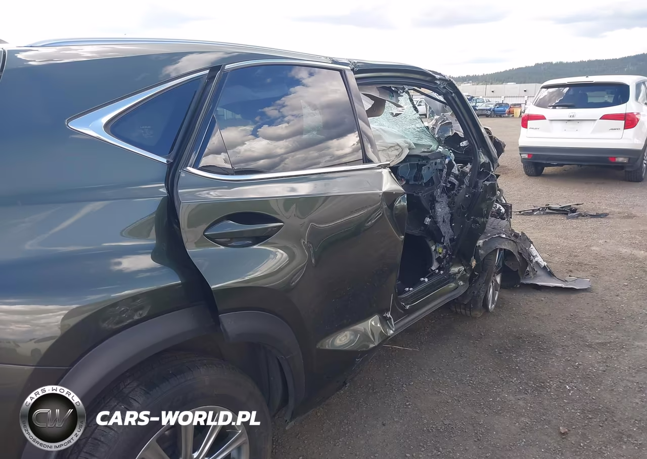2021 Lexus Nx 300 VIN:JTJDARDZ9M2243888 - 20