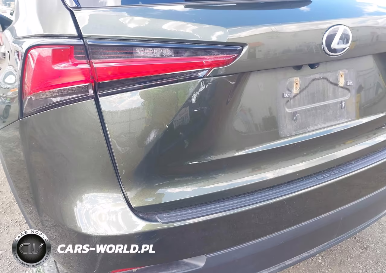 2021 Lexus Nx 300 VIN:JTJDARDZ9M2243888 - 21