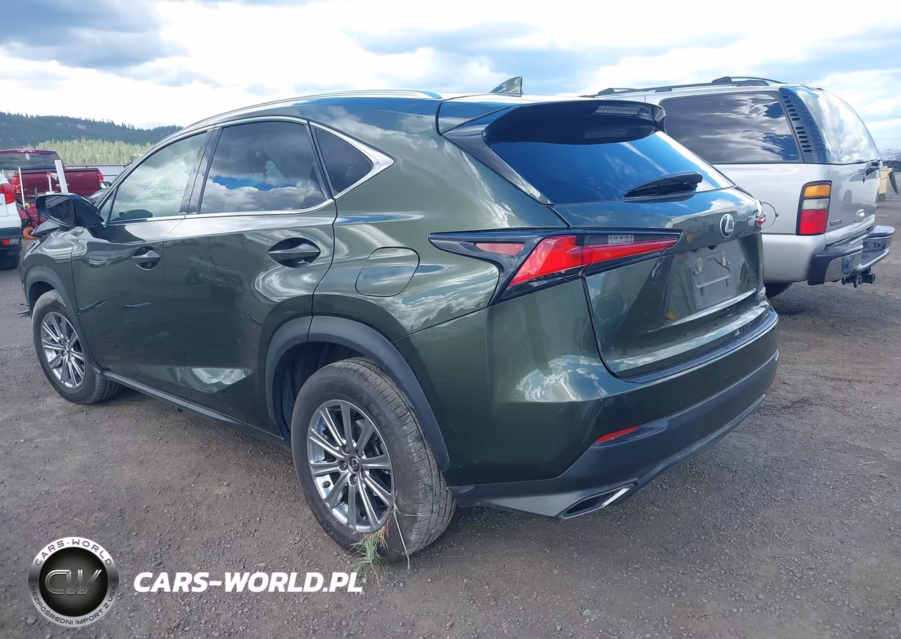 2021 Lexus Nx 300 VIN:JTJDARDZ9M2243888 - 3
