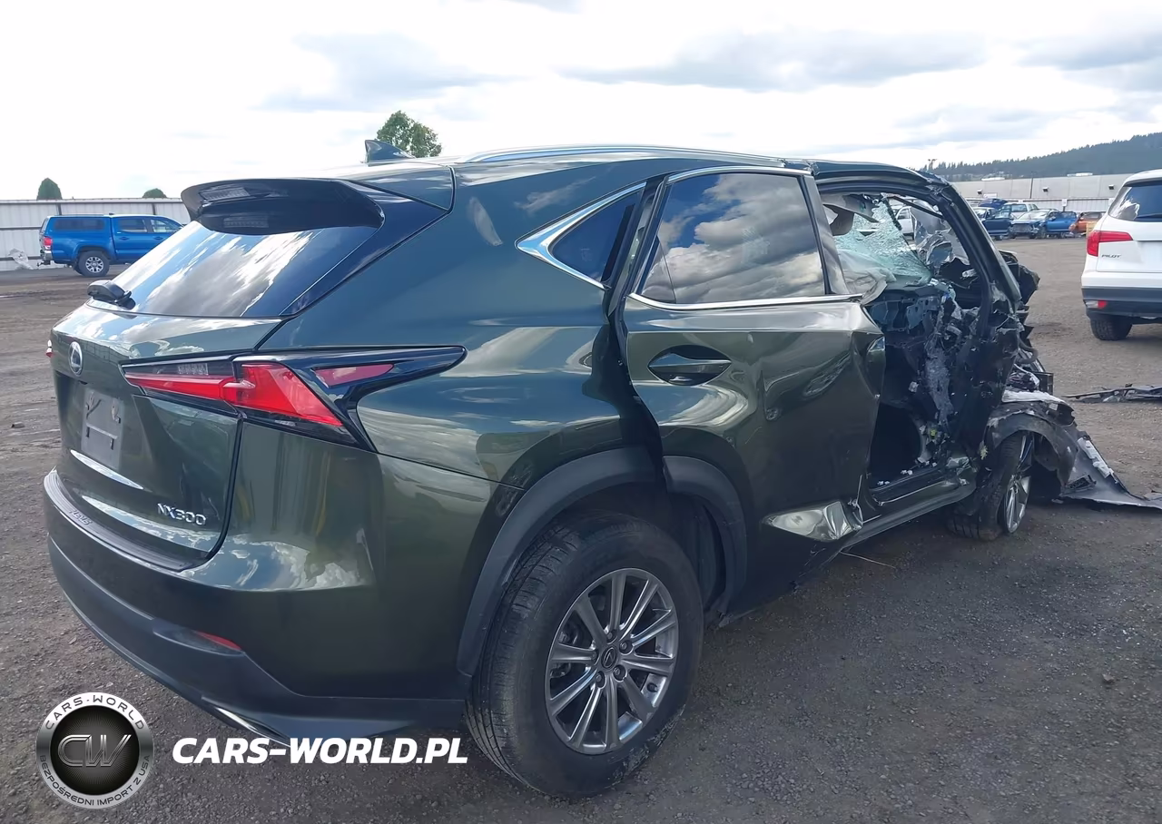 2021 Lexus Nx 300 VIN:JTJDARDZ9M2243888 - 4