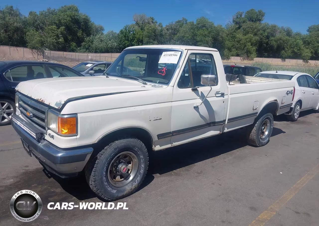 1991 Ford F150 VIN:1FTEF14N3MPA38450 - 2