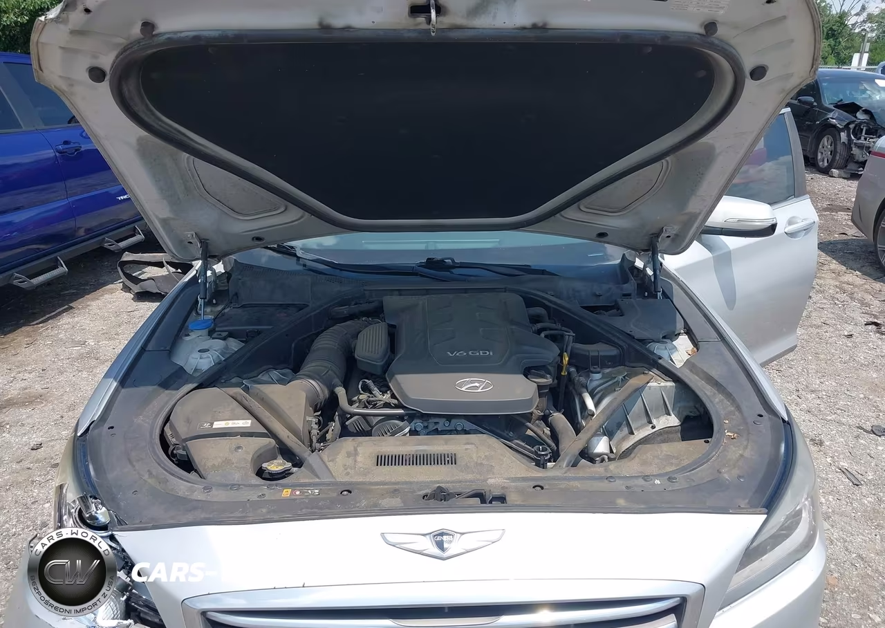 2016 Hyundai Genesis 3.8 VIN:KMHGN4JE0GU124818 - 10