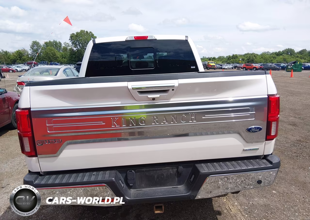 2019 Ford F-150 King Ranch VIN:1FTEW1E45KFD43683 - 17