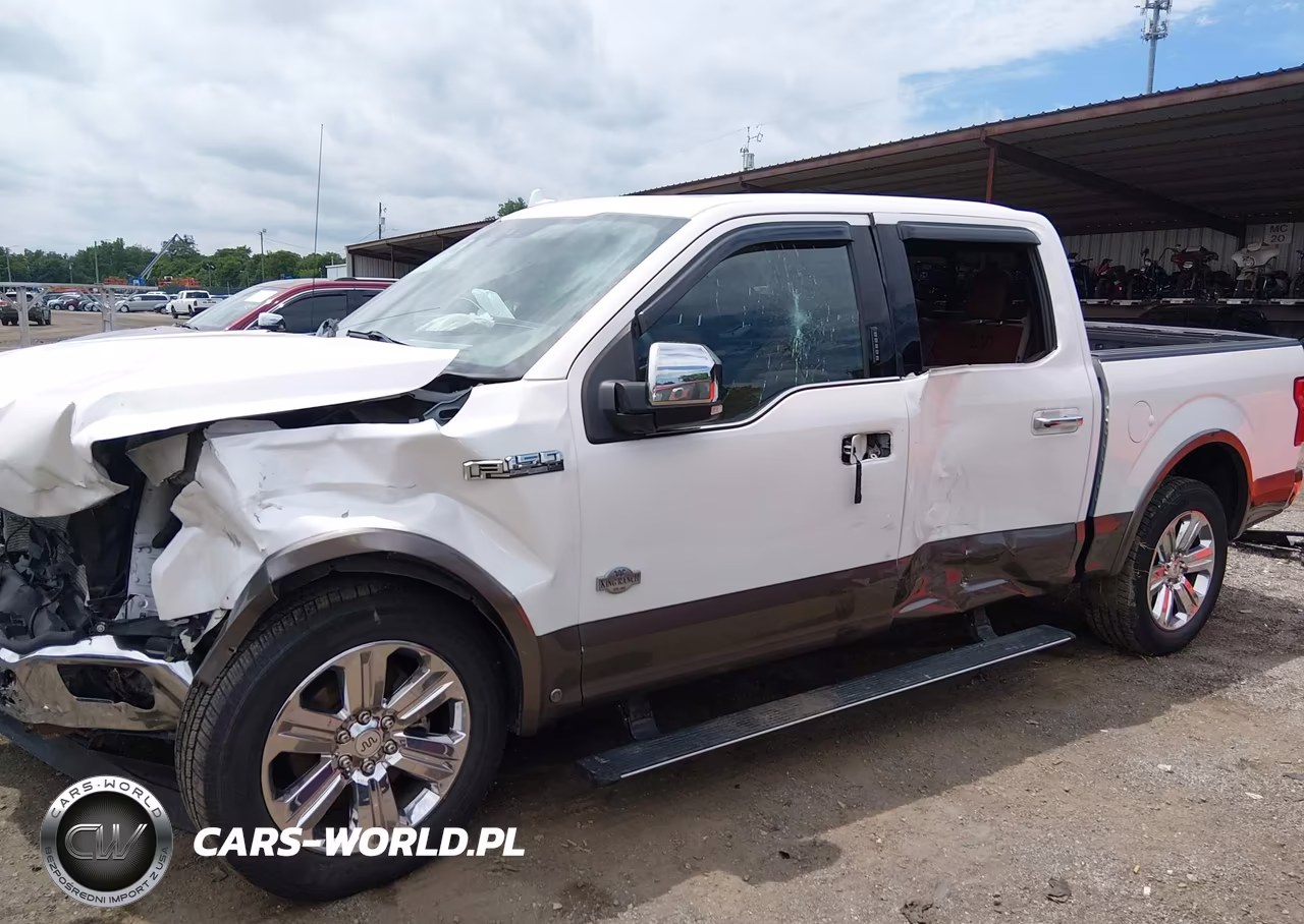 2019 Ford F-150 King Ranch VIN:1FTEW1E45KFD43683 - 18