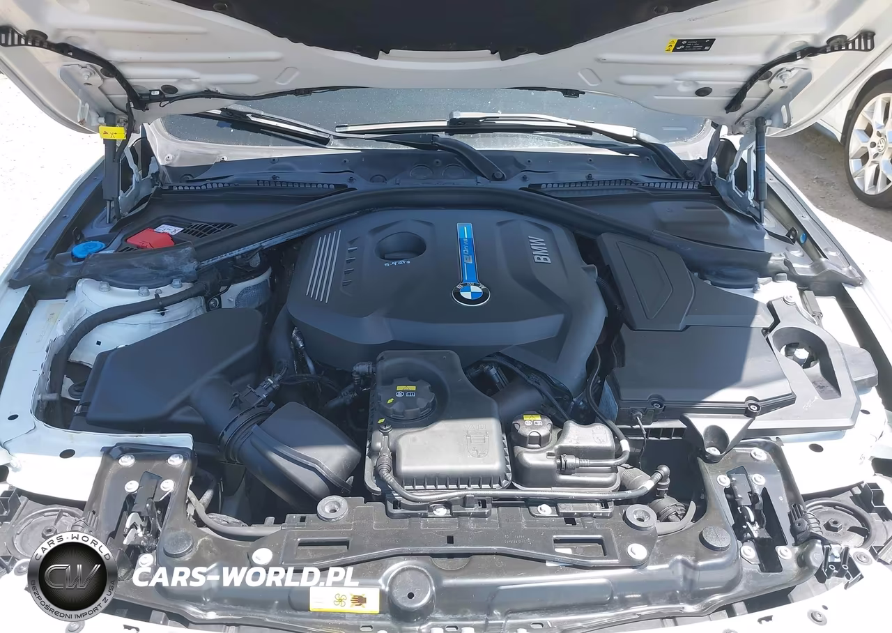 2017 BMW 330E Iperformance VIN:WBA8E1C32HA159119 - 10