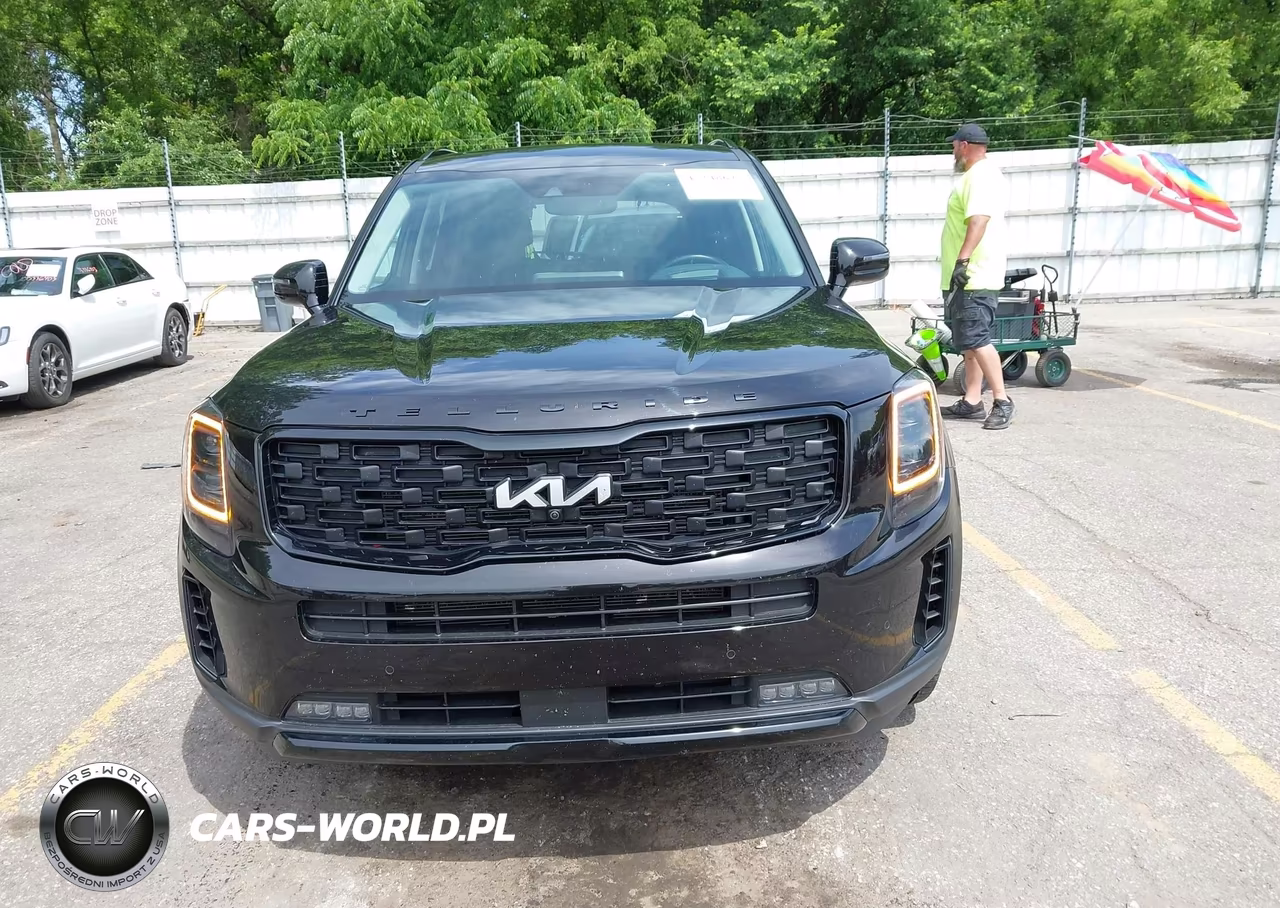 2022 Kia Telluride Sx VIN:5XYP5DHC5NG204316 - 12