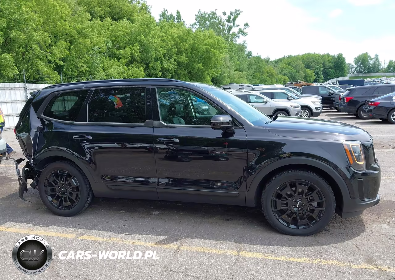 2022 Kia Telluride Sx VIN:5XYP5DHC5NG204316 - 13