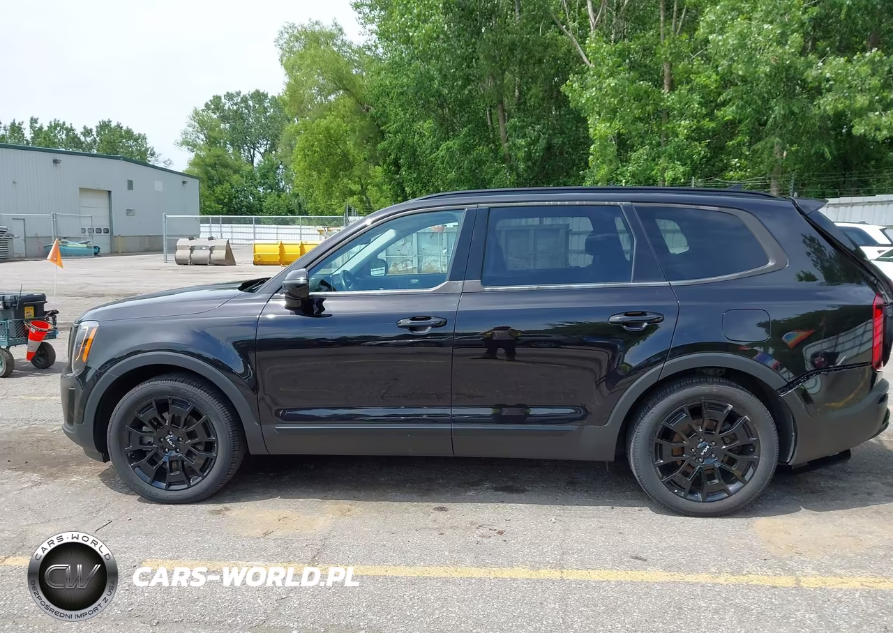 2022 Kia Telluride Sx VIN:5XYP5DHC5NG204316 - 14
