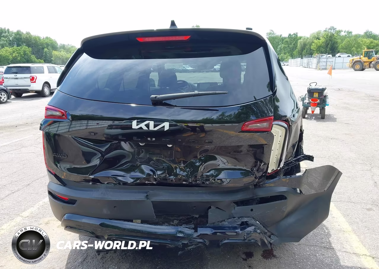 2022 Kia Telluride Sx VIN:5XYP5DHC5NG204316 - 16