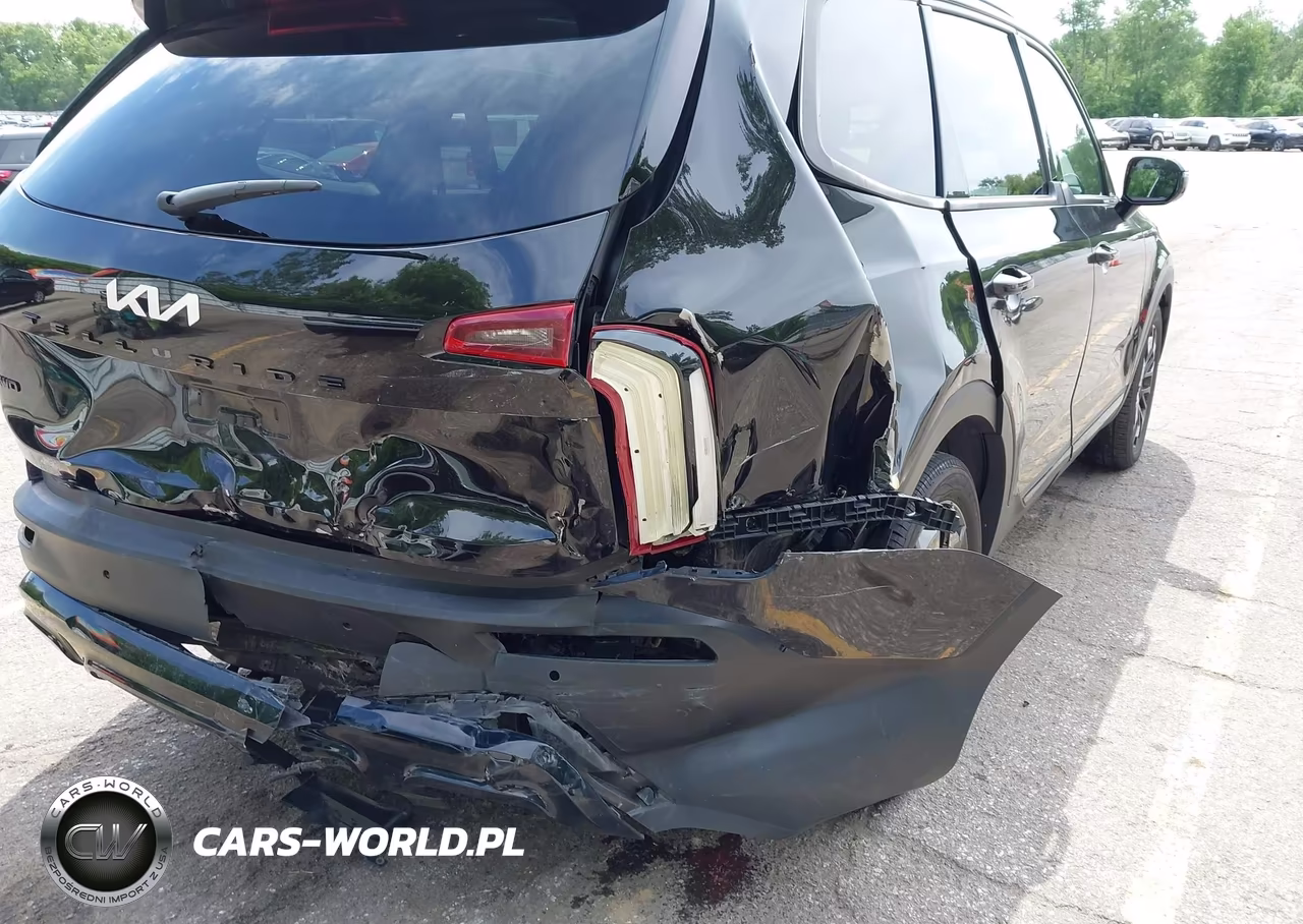 2022 Kia Telluride Sx VIN:5XYP5DHC5NG204316 - 17