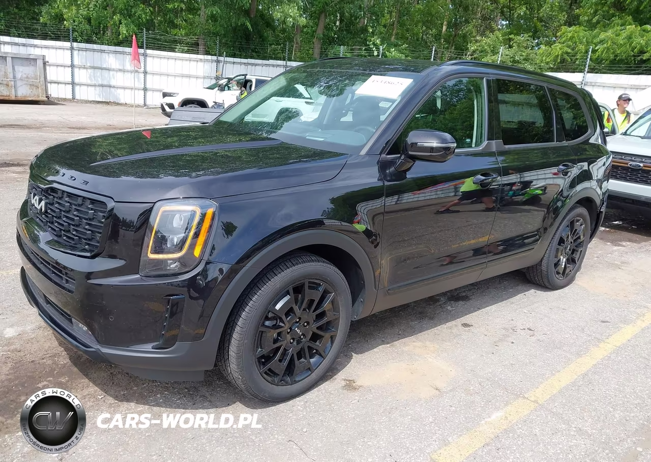 2022 Kia Telluride Sx VIN:5XYP5DHC5NG204316 - 2