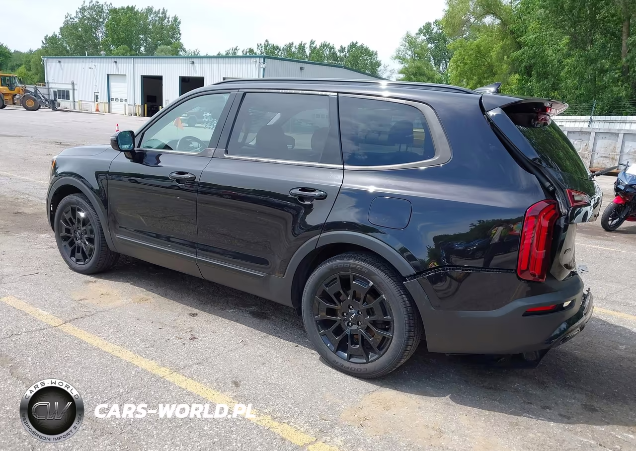 2022 Kia Telluride Sx VIN:5XYP5DHC5NG204316 - 3