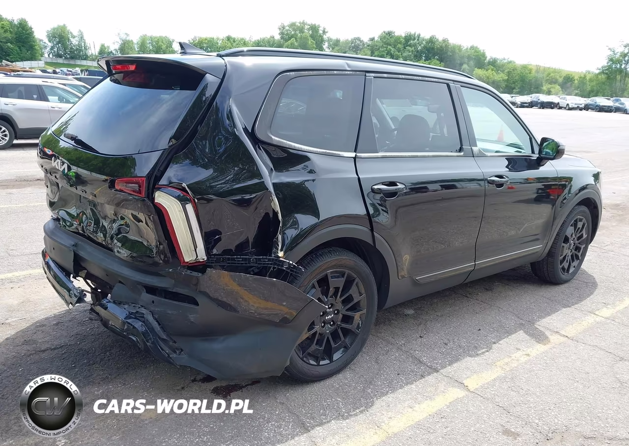 2022 Kia Telluride Sx VIN:5XYP5DHC5NG204316 - 4