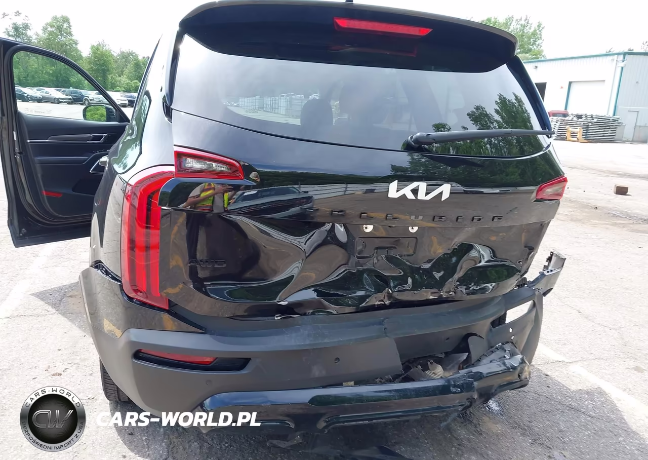 2022 Kia Telluride Sx VIN:5XYP5DHC5NG204316 - 6