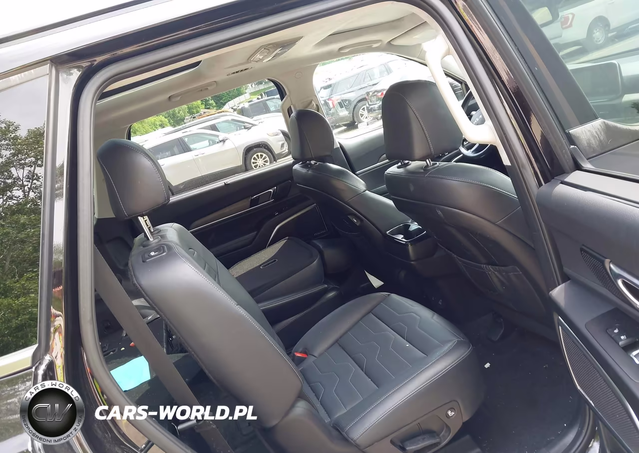 2022 Kia Telluride Sx VIN:5XYP5DHC5NG204316 - 8