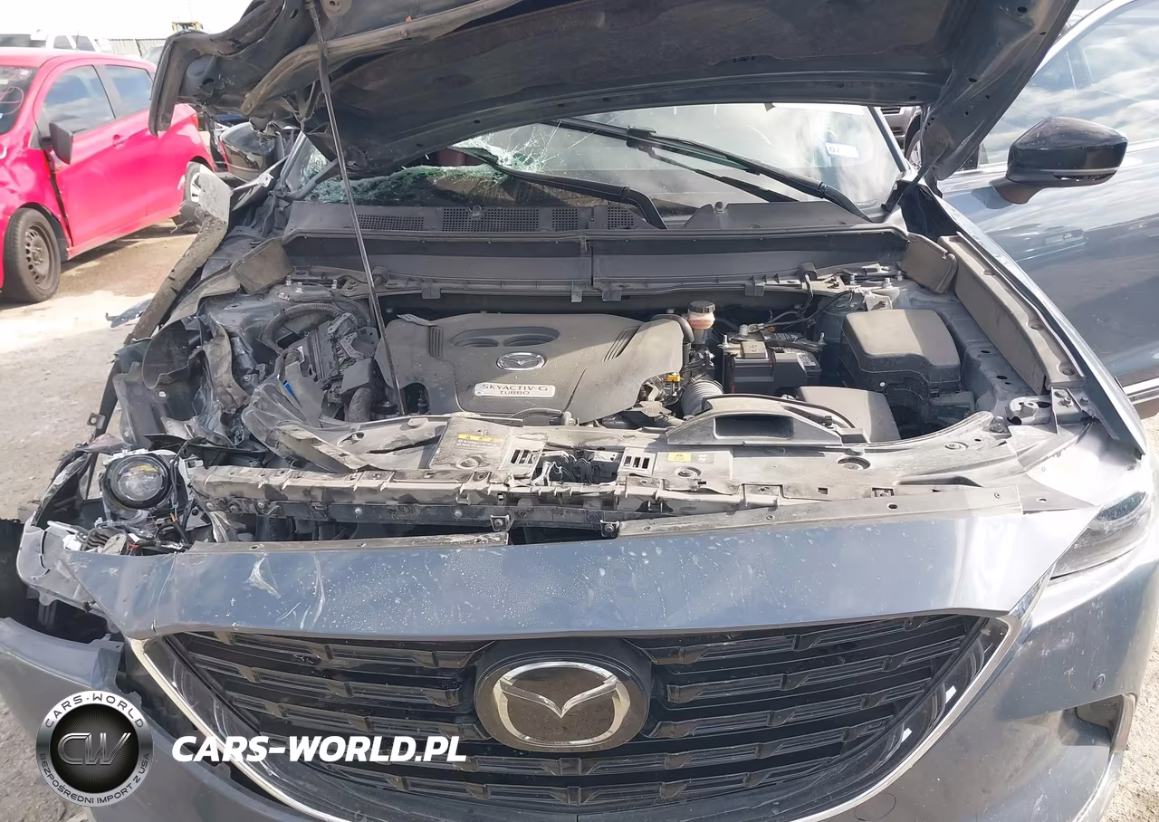 2022 Mazda Cx-9 Carbon Edition VIN:JM3TCBDYXN0620272 - 10