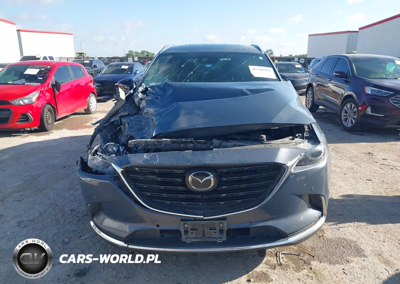 2022 Mazda Cx-9 Carbon Edition VIN:JM3TCBDYXN0620272 - 12