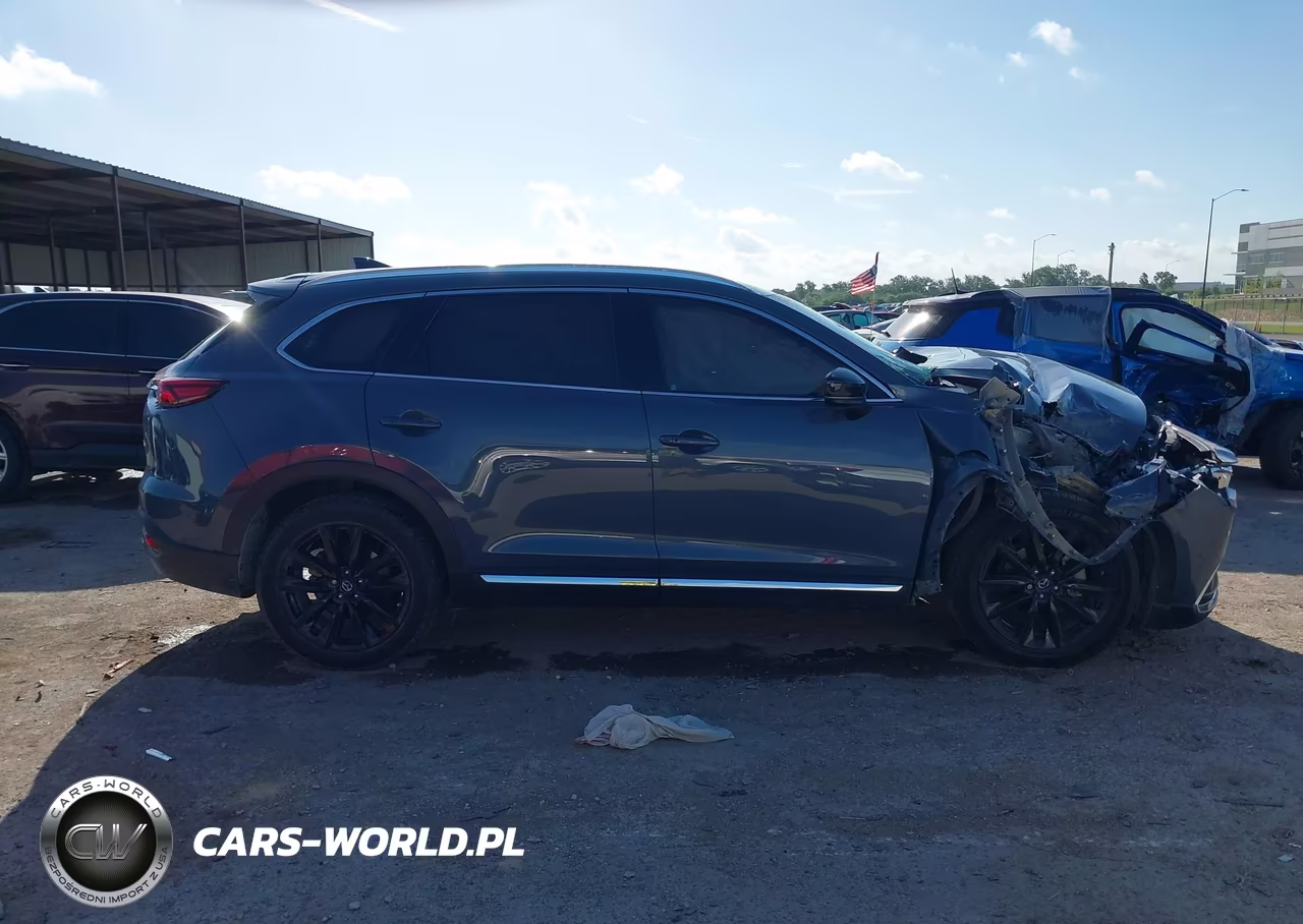 2022 Mazda Cx-9 Carbon Edition VIN:JM3TCBDYXN0620272 - 13