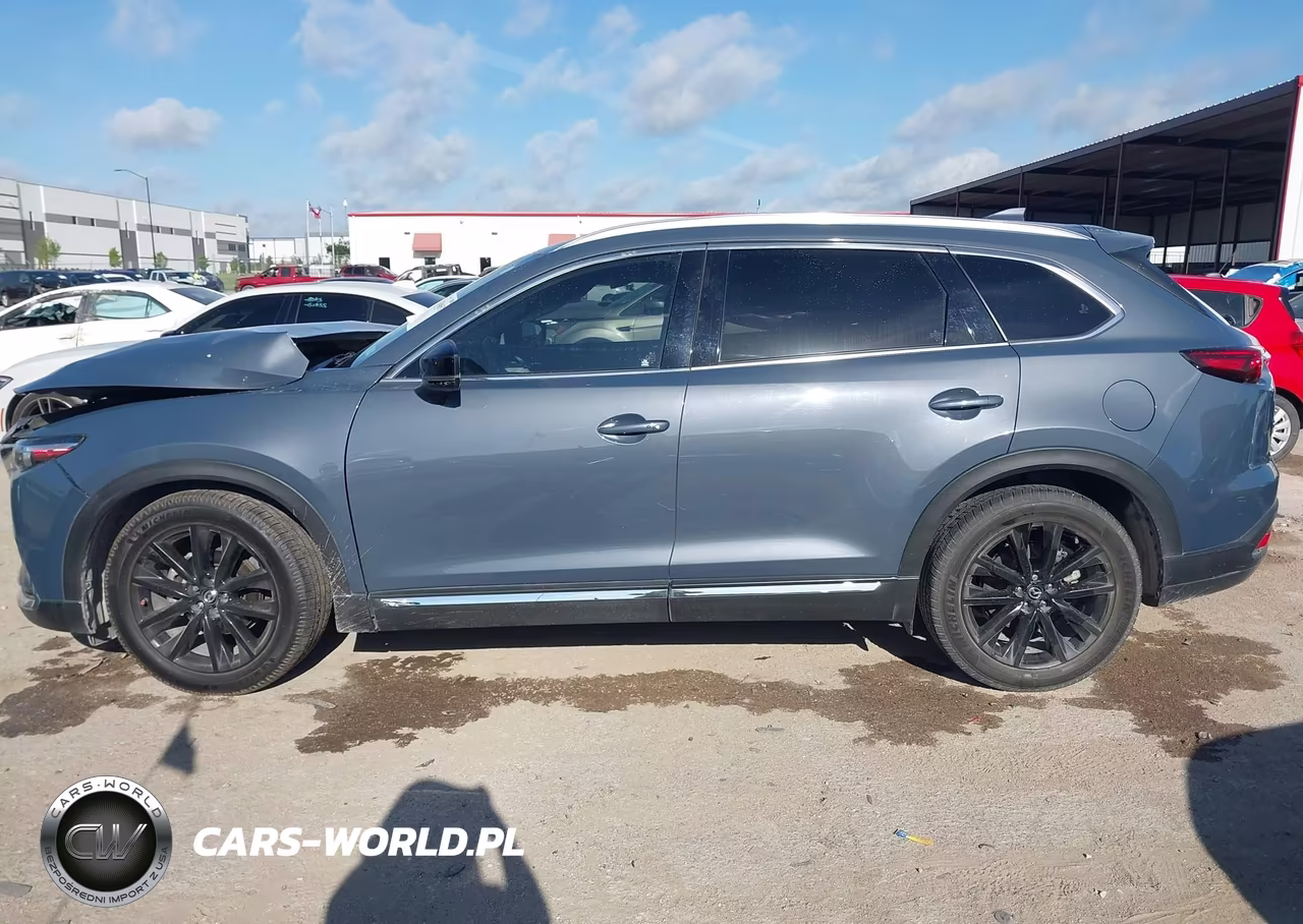 2022 Mazda Cx-9 Carbon Edition VIN:JM3TCBDYXN0620272 - 14