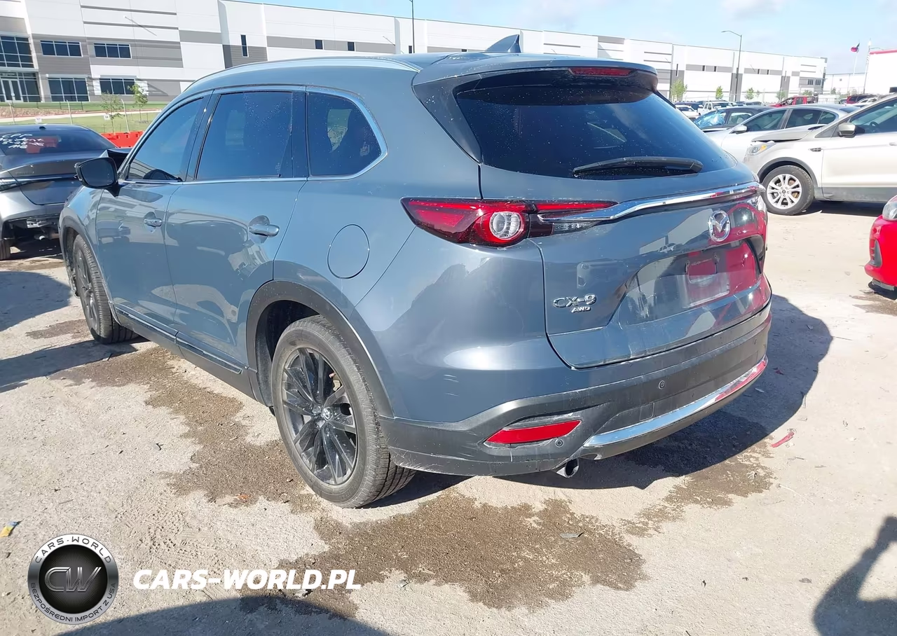 2022 Mazda Cx-9 Carbon Edition VIN:JM3TCBDYXN0620272 - 3