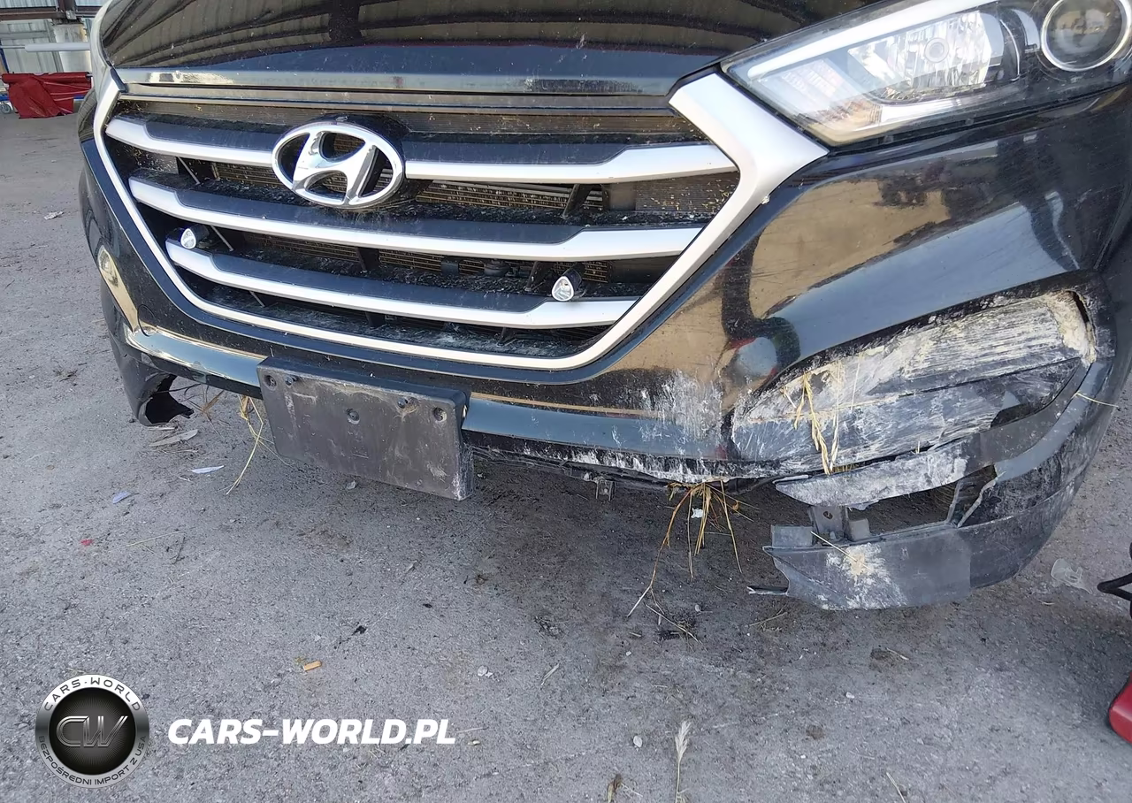 2017 Hyundai Tucson Se VIN:KM8J23A47HU565699 - 6