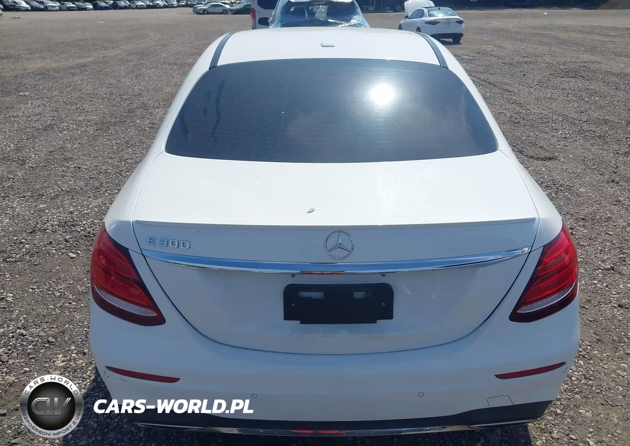 2018 Mercedes-Benz E 300 VIN:WDDZF4JB4JA339553 - 16