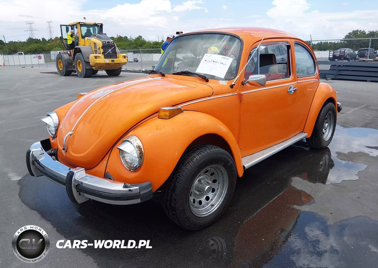 1974 Volkswagon Beetle VIN:1342426196 - 6