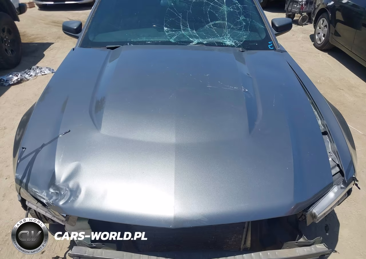 2010 Ford Mustang V6 VIN:1ZVBP8AN9A5123794 - 14